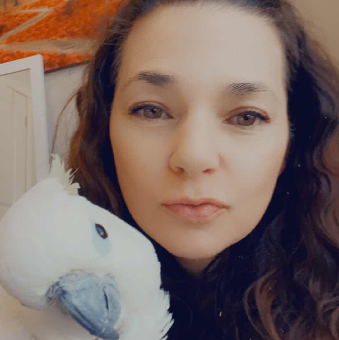 The Lycan Princess and the Temptation of Sin - 10. Our Incentives Novel