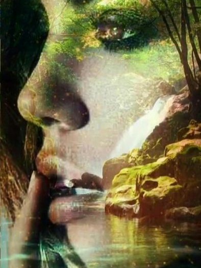 Readtaming The Tiger By Alaheeza Full Chapters Online For Free Light Novel Worlds