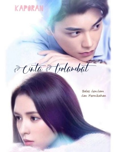 Cerita Novel Cinta Yang Terlambat