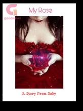 Novel My Rose by Baby