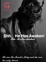 Novel Shh.. He Has Awaken! by Shweta