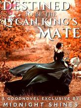 Novel Destined To Be The Lycan King’s Mate by Midnight Shines