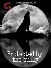 Novel Protected by the bully (#2 in Bully Series) by Chantinglove138