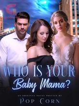 Novel Who Is Your Baby Mama by Pop Corn