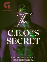 Novel The C.E.O.’s Secret by iampammyimnida