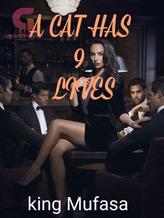 Novel A CAT HAS 9 LIVES by Salu Johnson