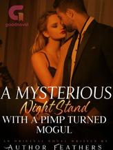 Novel A Mysterious Night Stand With A Pimp Turned Mogul by Feathers