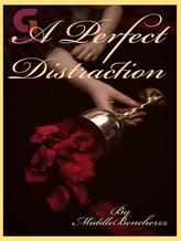 Novel A Perfect Distraction by MiDdleBeNcherZz