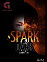 Novel A Spark in the Dark Shadow by BretLady