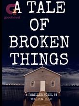 Novel A TALE OF BROKEN THINGS by lawalkolawole902