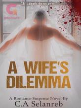 Novel A Wife’s Dilemma by Ann Selanreb