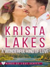 Novel A Wonderful Kind of Love by Krista Lakes