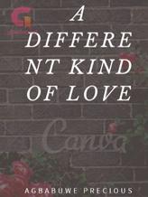 Novel A different kind of love by Precious Agbabuwe