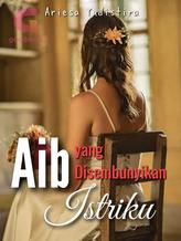 Novel AIB YANG DISEMBUNYIKAN ISTRIKU by Ariesa Yudistira