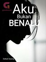 Novel AKU BUKAN BENALU by Bubuk Kacang