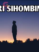 Novel ARI SIHOMBING by Anita