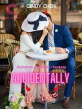 Novel Accidentally In Love (INDONESIA) by Cindy Chen