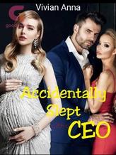 Novel Accidentally Slept With A CEO by Vivian Anna