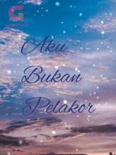 Novel Aku Bukan Pelakor by Thata