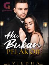 Novel Aku Bukan Pelakor by Evie Edha