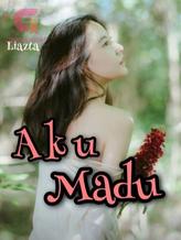 Novel Aku Madu by Liazta