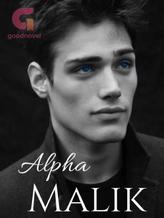 Novel Alpha Malik by Midika