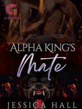 Alpha king's Mate ( Book 4 Hybrid Aria)