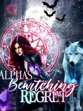 Novel Alpha’s Bewitching Regret by Zoumi