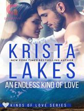 Novel An Endless Kind of Love by Krista Lakes