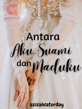 Novel Antara Aku, Suami, dan Maduku by Ziza