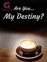 Novel Are You… My Destiny? by Milky