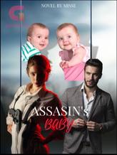 Novel Assassin’s Baby by MissE Novel Assassin’s Baby by MissE