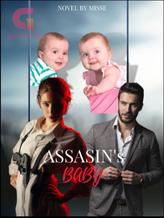 Novel Assassin’s Baby by MissE