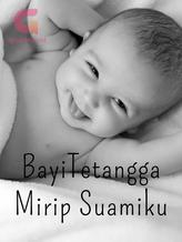 Novel BAYI TETANGGA MIRIP SUAMIKU by Putri putri