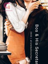 Novel BOS & HIS SECRETARY by alistebalsinchan