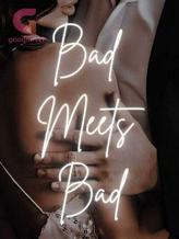 Novel Bad Meets Bad by Sharmeen Saad