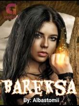 Novel Bareksa by Albastomii