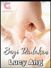 Novel Bayi Dadakan by Lucy Ang