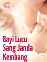 Novel Bayi Lucu Sang Janda Kembang by Alie-Afie