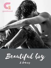 Novel Beautiful Boy by Cr4vinz