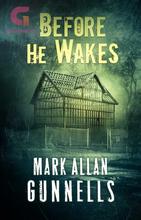 Novel Before He Wakes by Crystal Lake Publishing