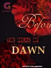 Novel Before The Break of Dawn by Adetayo Stellamarris