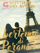 Novel Bertemu di Perancis by Audreynatasha20