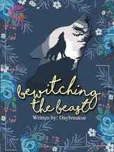 Novel Bewitching The Beast by Daybreakue WP