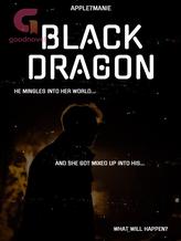 Novel Black Dragon by apple7manie