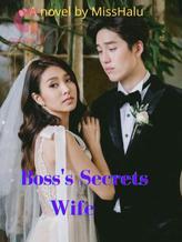 Novel Boss’s Secrets Wife by Miss Halu