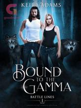 Novel Bound to the Gamma – Battle Lines by Keira Adams