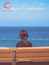 Novel Bukan Cinderella by Abinaya