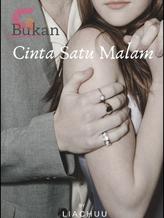 Novel Bukan Cinta Satu Malam by Liachuu