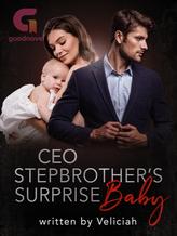 Novel CEO Stepbrother’s Surprise Baby by Veliciah